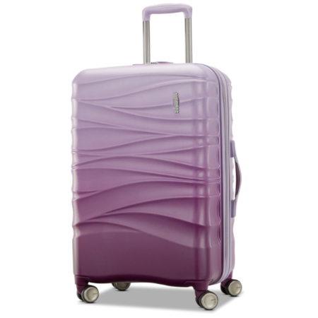 Hardside Expandable Luggage Wheels, Purple Haze, 20-Inch Spinner