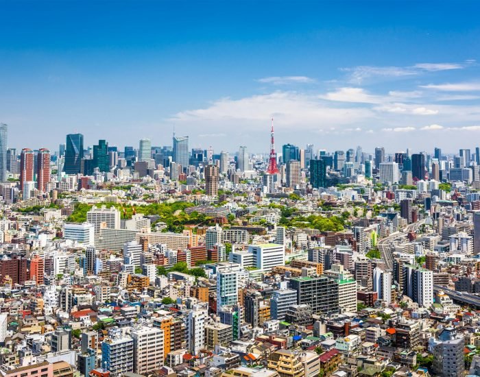 Tokyo Skyline